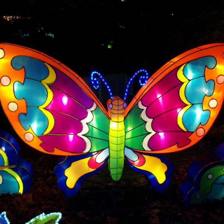 New Lantern Show Festival For Garden Display