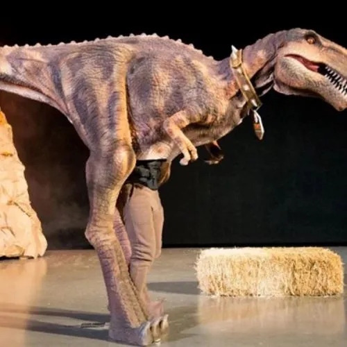 آیا بچه ها می توانند لباس دایناسورها را در رویدادهای مدرسه بپوشند؟